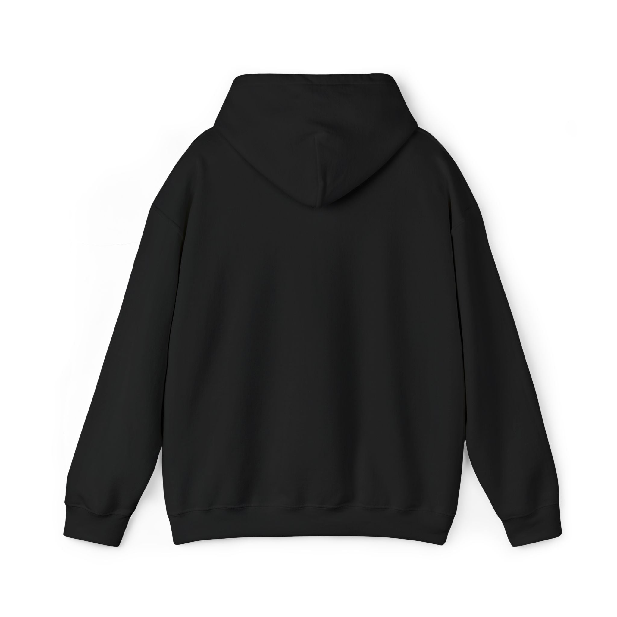 Know Your Rights Hoodie-embroidered